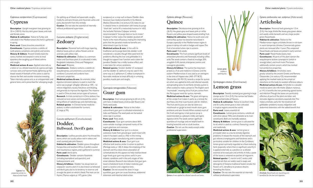 Encyclopedia of Herbal Medicine New Edition: 560 Herbs and Remedies for Common Ailments