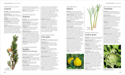 Encyclopedia of Herbal Medicine New Edition: 560 Herbs and Remedies for Common Ailments