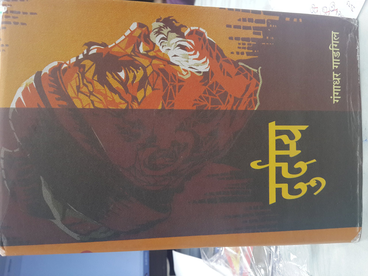 Durdamya  book cover