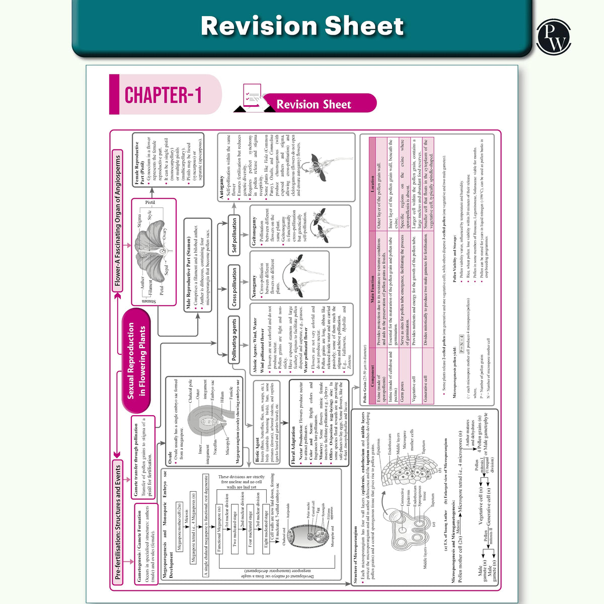 PW CUET UG Entrance Exam Books 2026 – Physics Chemistry Biology (PCB) Combo Set of 3 | Chapterwise & Topicwise MCQs Question Bank | CUET UG PYQ (2025–2022) | Mock Tests | Latest NTA Pattern