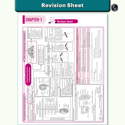 PW CUET UG Entrance Exam Books 2026 – Physics Chemistry Biology (PCB) Combo Set of 3 | Chapterwise & Topicwise MCQs Question Bank | CUET UG PYQ (2025–2022) | Mock Tests | Latest NTA Pattern