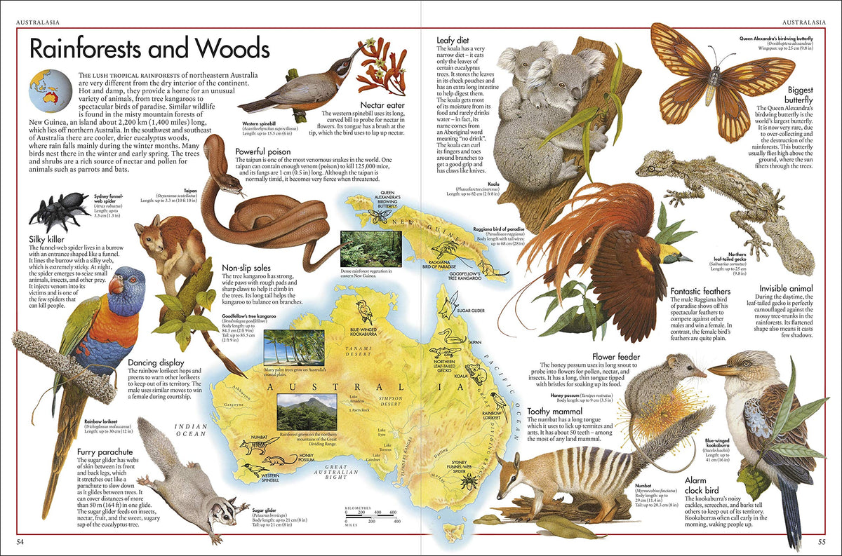 The Animal Atlas: A Pictorial Guide to the World's Wildlife