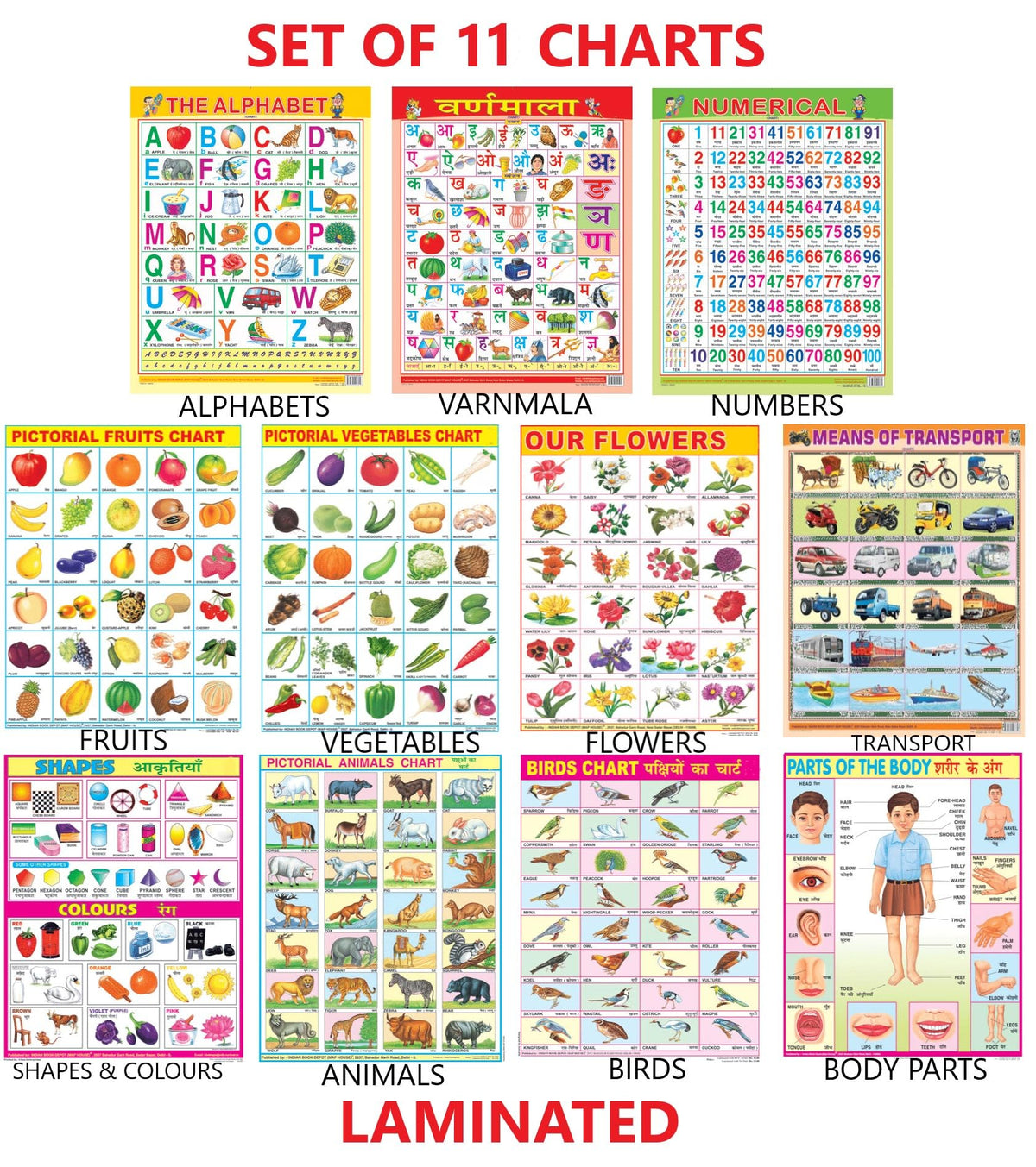 Early Learning Educational Charts Set For Kids|Set Of 11|Non-Tearable & Waterproof|Double Sided Laminated|Billingual Charts In English & Hindi|Perfect For Homeschooling And Nursery Students