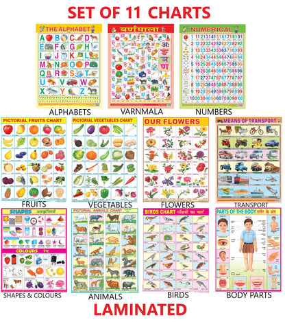 Early Learning Educational Charts Set For Kids|Set Of 11|Non-Tearable & Waterproof|Double Sided Laminated|Billingual Charts In English & Hindi|Perfect For Homeschooling And Nursery Students