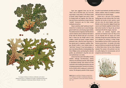 Kew - The Magic of Mushrooms: Fungi in folklore, superstition and traditional medicine (Royal Botanic Gardens, Kew)