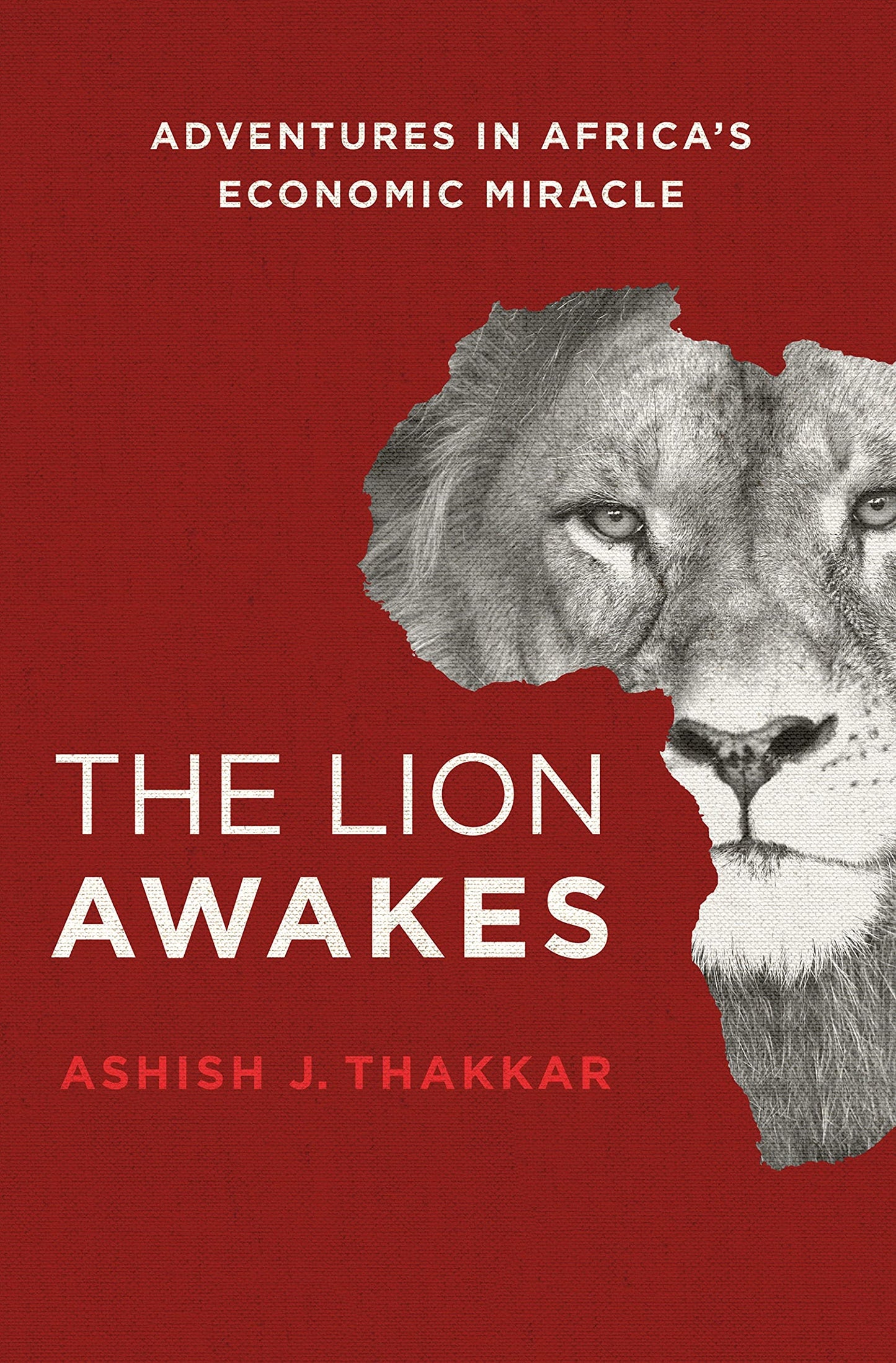 The Lion Awakes: Adventures in Africas Economic Miracle book cover
