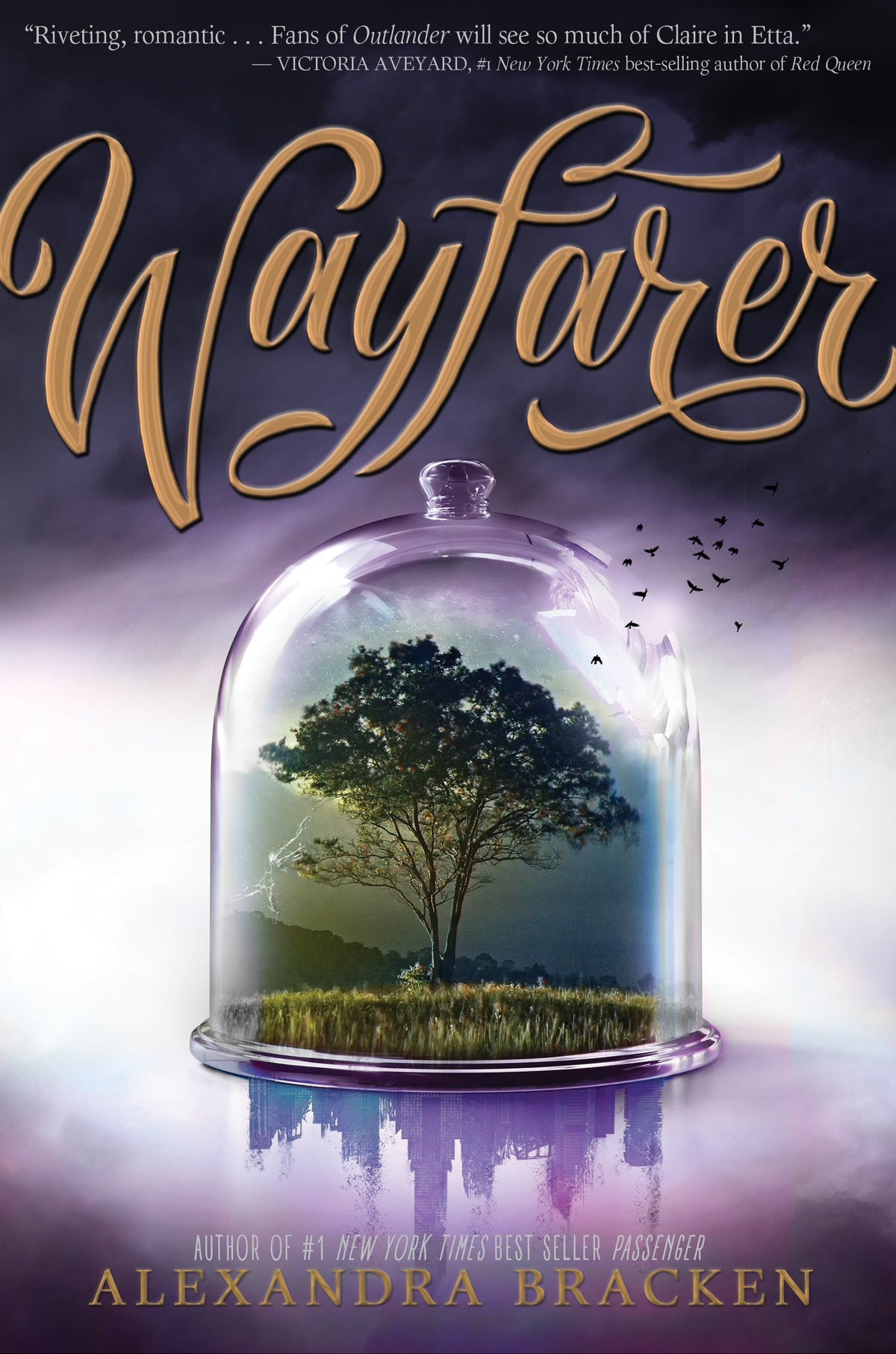 Wayfarer (Passenger, Bk. 2) book cover