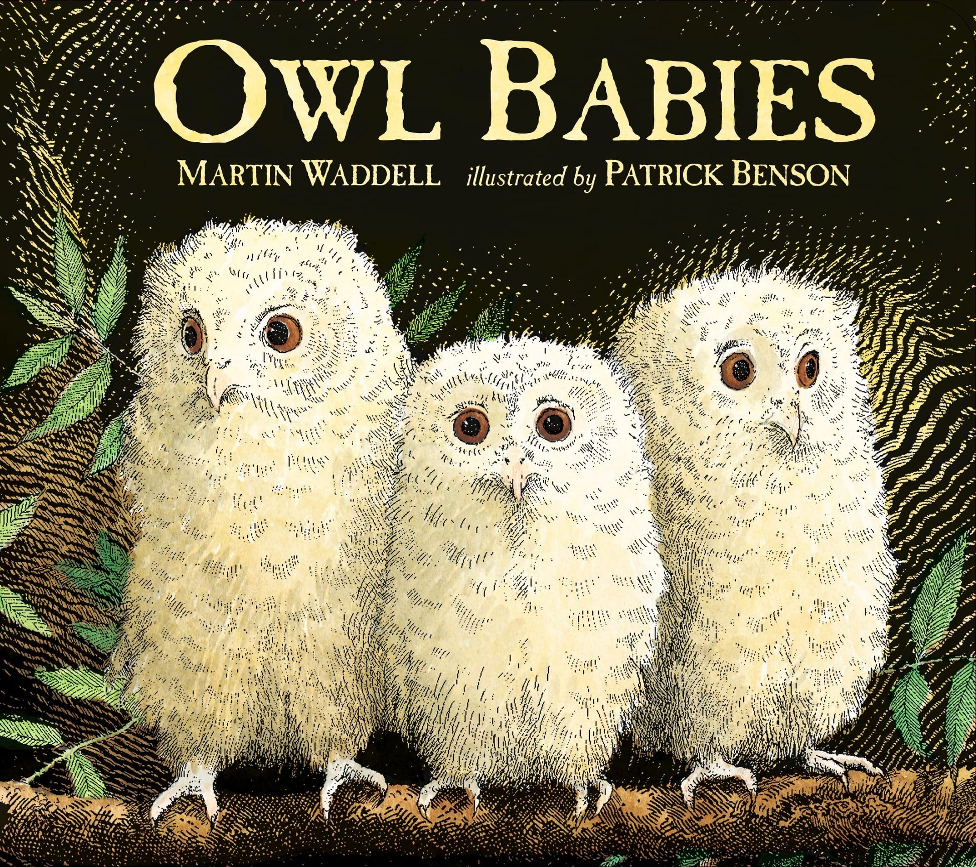 Owl Babies by Martin Waddell book cover