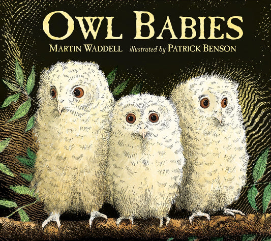 Owl Babies by Martin Waddell book cover