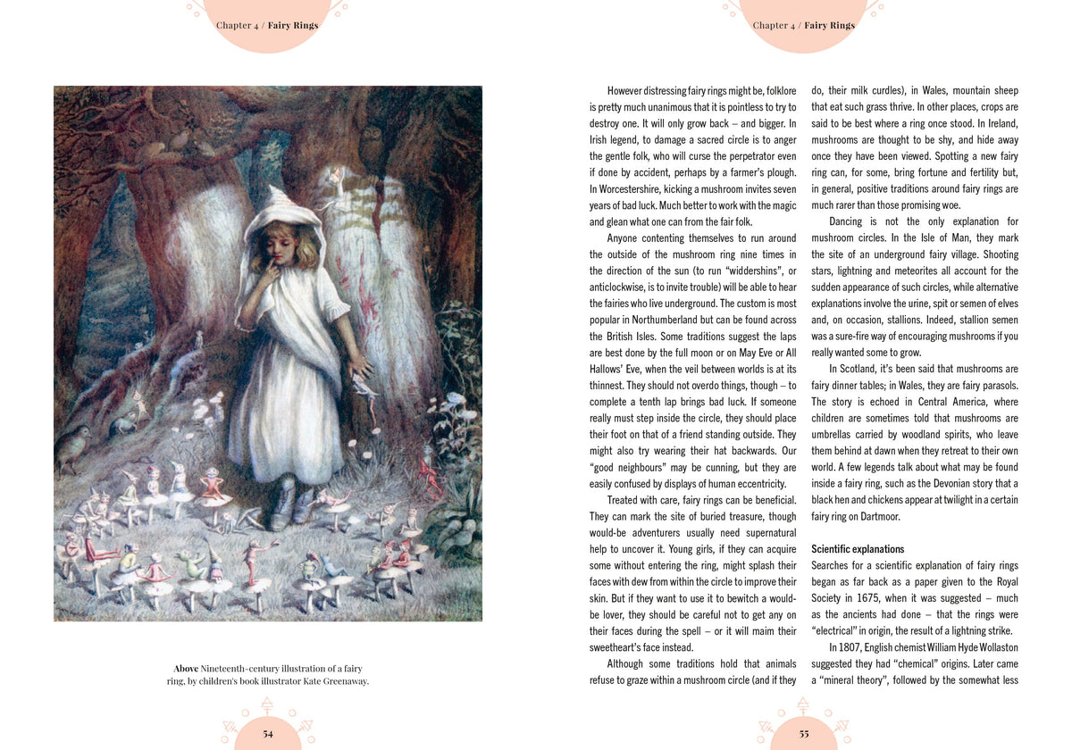 Kew - The Magic of Mushrooms: Fungi in folklore, superstition and traditional medicine (Royal Botanic Gardens, Kew)