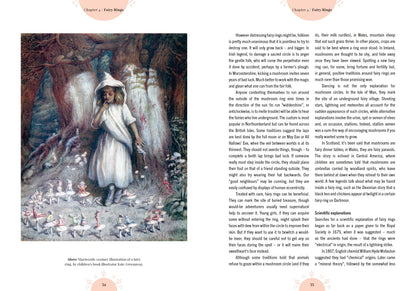 Kew - The Magic of Mushrooms: Fungi in folklore, superstition and traditional medicine (Royal Botanic Gardens, Kew)