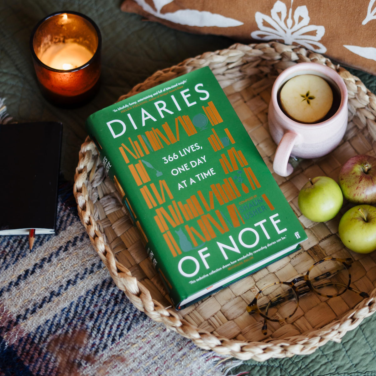 Diaries of Note: 366 Lives, One Day at a Time
