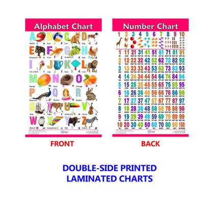 VCP Early Learning Educational Chart Set for Kids | Set of 12 LAMINATED Paper Charts (Printed on Both Sides) | Non-Tearable and Waterproof | Size : 31 x 46 cm | Alphabet, Numbers, Animals..