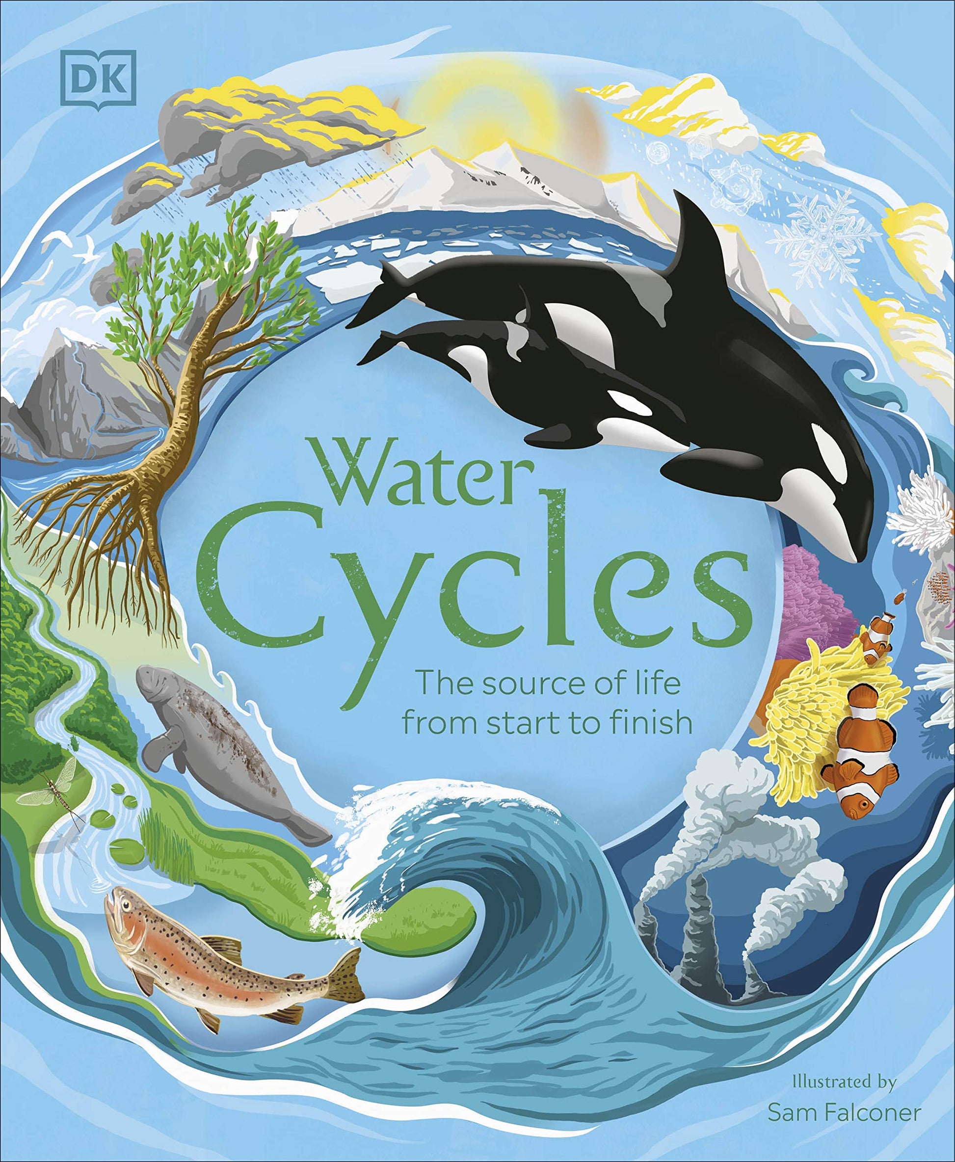 Water Cycles book cover