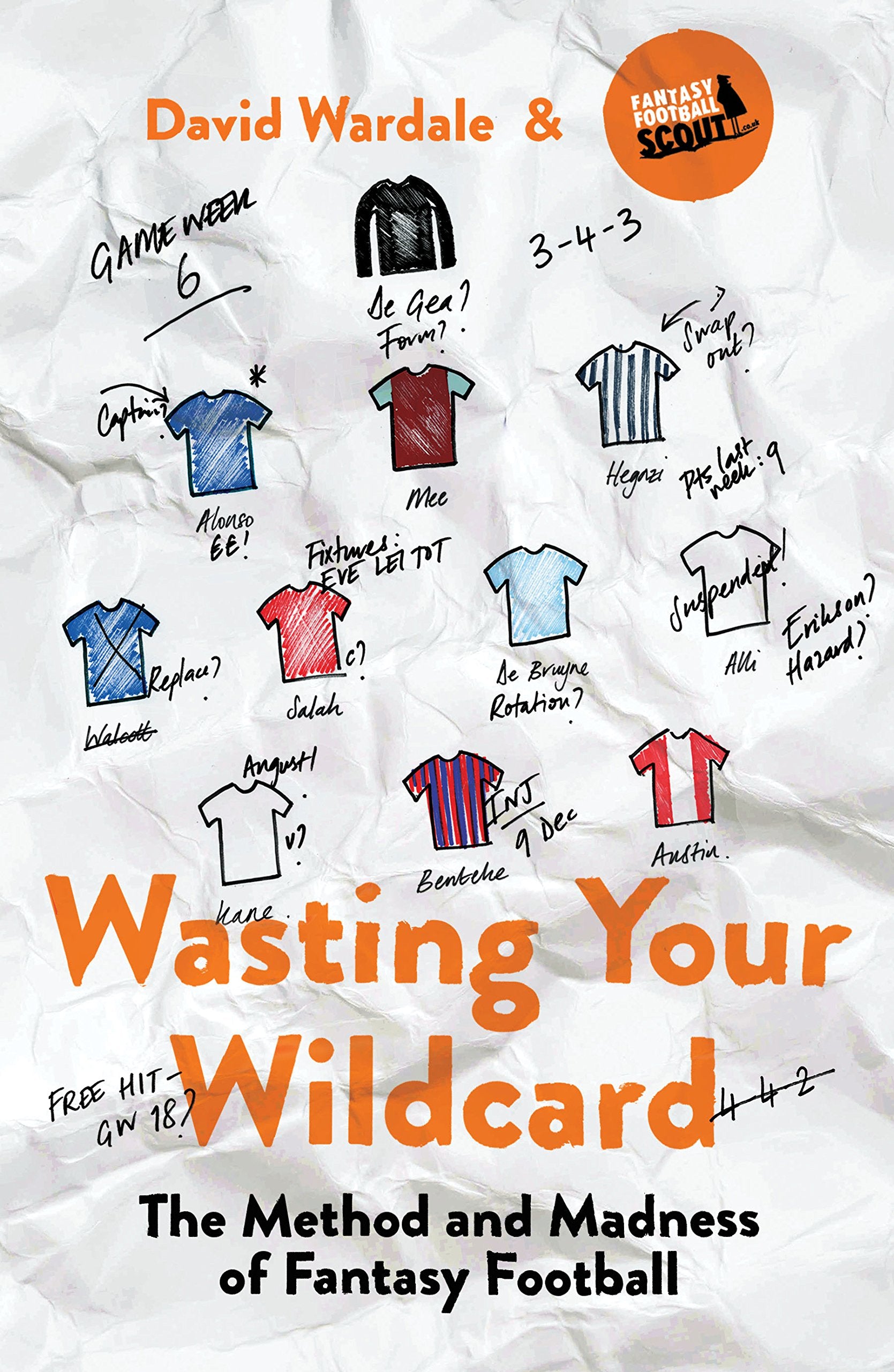 Wasting Your Wildcard book cover