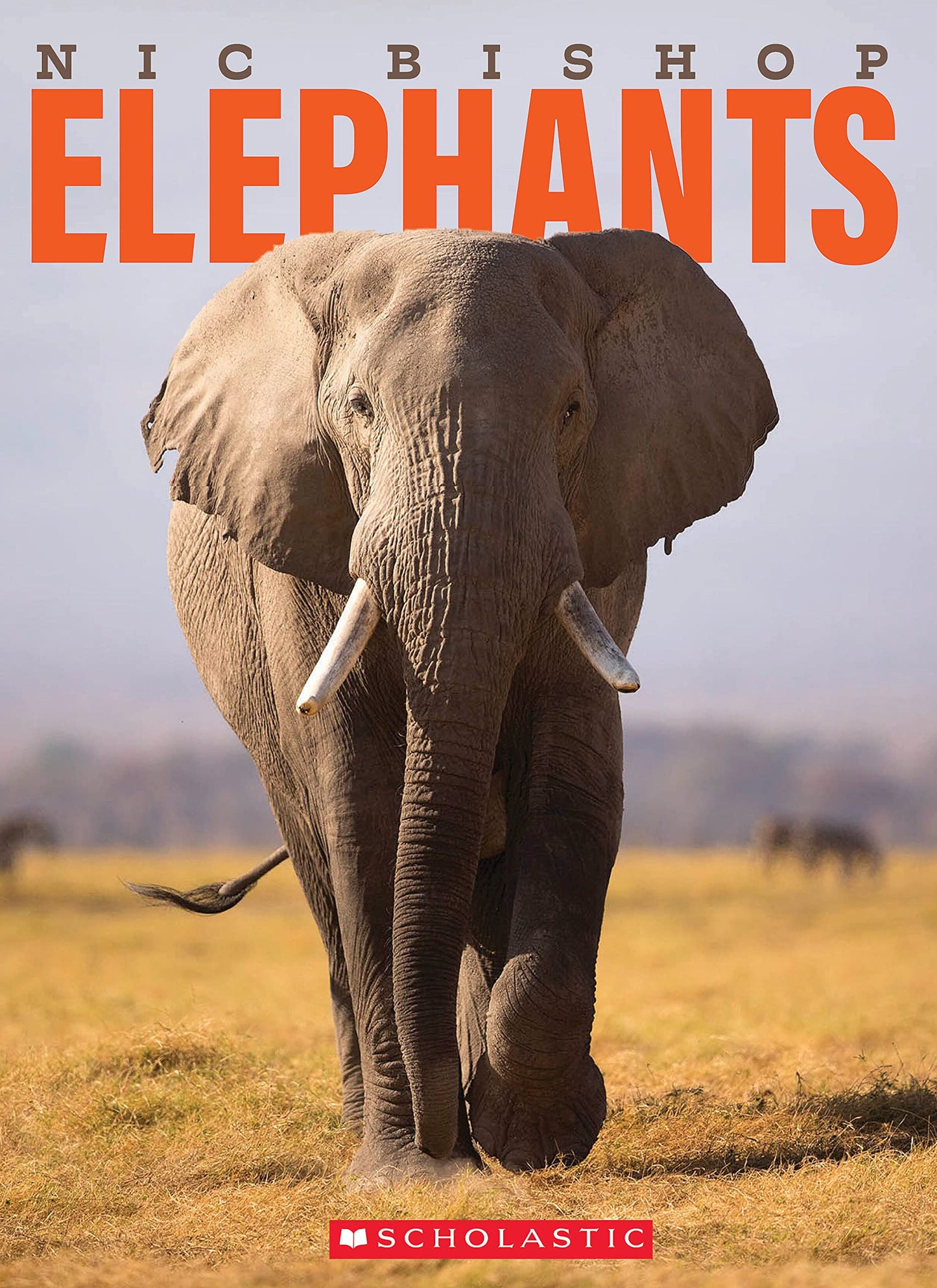 Nic Bishop Elephants book cover
