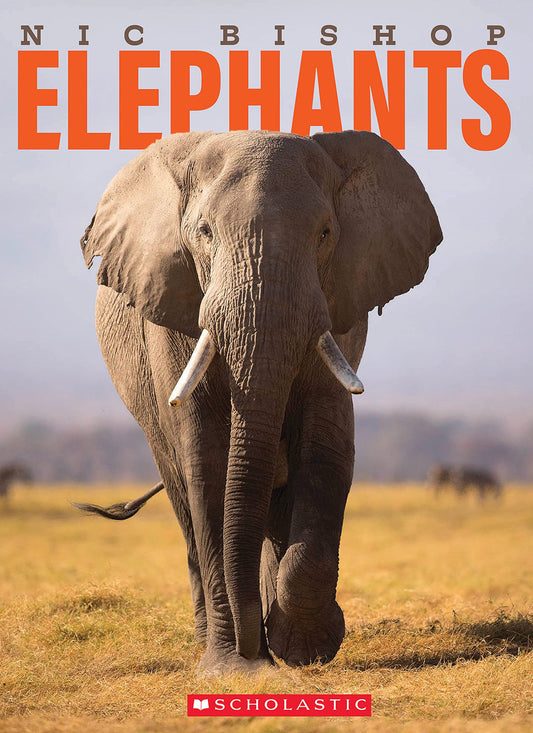 Nic Bishop Elephants book cover