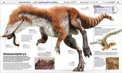 Knowledge Encyclopedia Dinosaur! An Illustrated Encyclopedia for Kids on Dinosaurs Extinction, Fossils, Prehistoric Life & Evolution