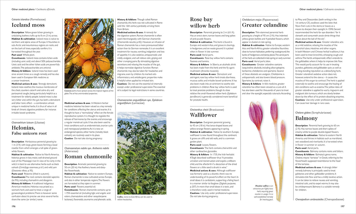 Encyclopedia of Herbal Medicine New Edition: 560 Herbs and Remedies for Common Ailments
