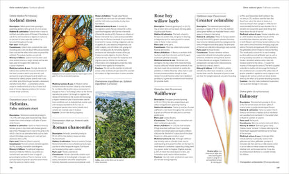 Encyclopedia of Herbal Medicine New Edition: 560 Herbs and Remedies for Common Ailments