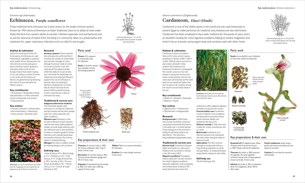 Encyclopedia of Herbal Medicine New Edition: 560 Herbs and Remedies for Common Ailments