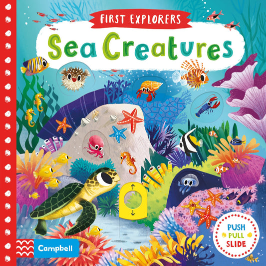 Sea Creatures (Campbell First Explorers  2) by Chorkung (Illustrator) book cover