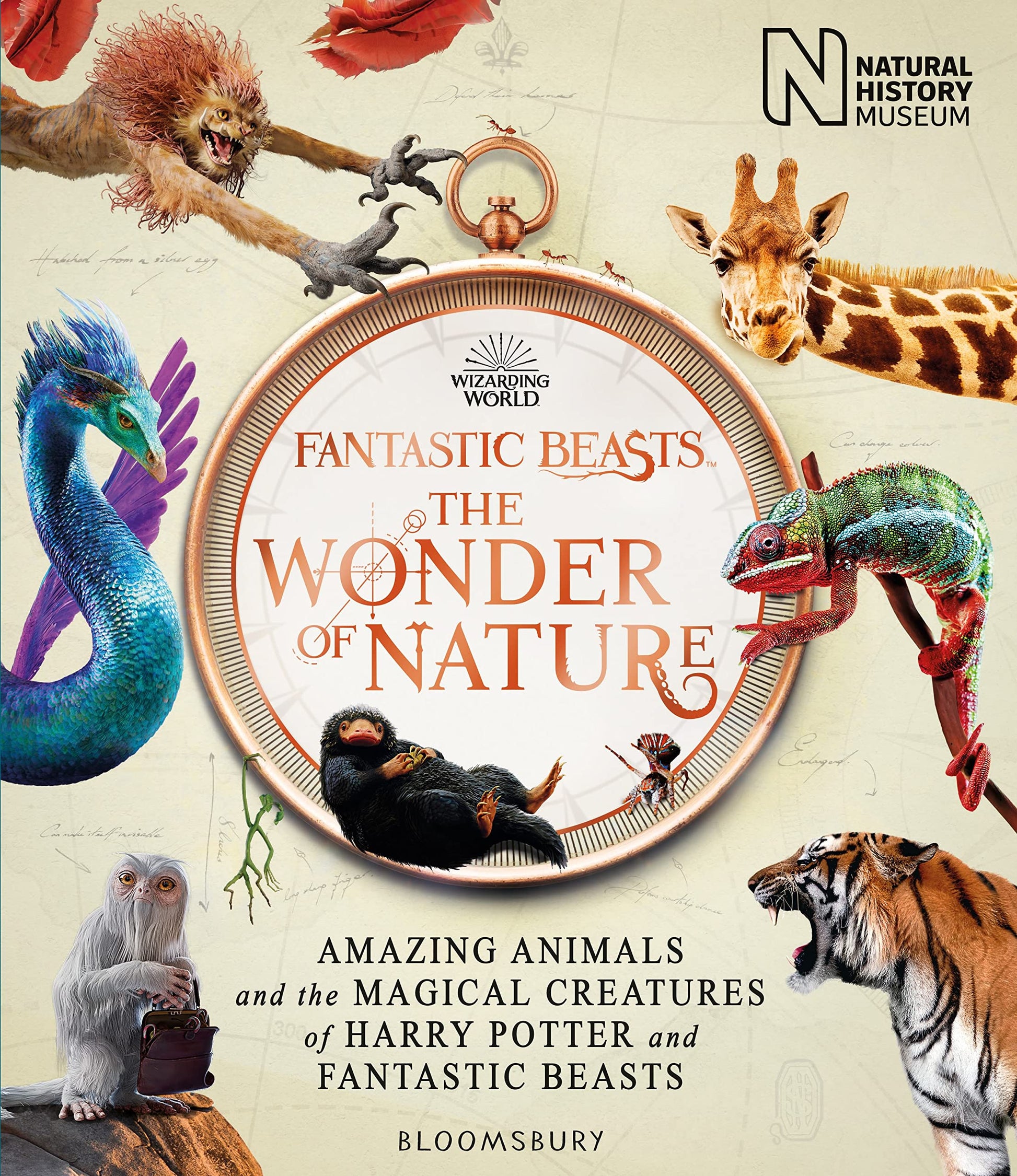 Fantastic Beasts: The Wonder Of Nature book cover