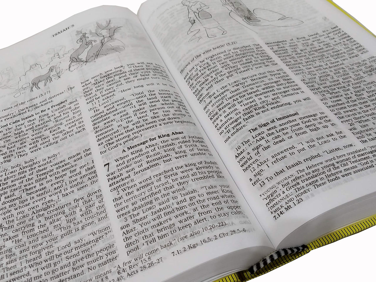 GOOD NEWS BIBLE TODAY'S ENGLISH VERSION CATHOLIC Regular Edition with Deuterocanonical Books/ Apocrypha Illustrated Old and New Testament