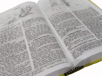 GOOD NEWS BIBLE TODAY'S ENGLISH VERSION CATHOLIC Regular Edition with Deuterocanonical Books/ Apocrypha Illustrated Old and New Testament
