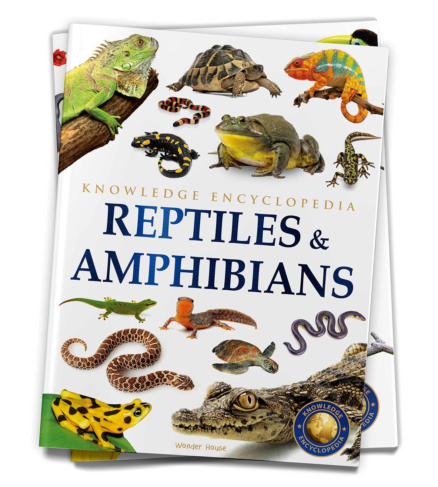 Animals - Reptiles and Amphibians : Knowledge Encyclopedia For Children book cover