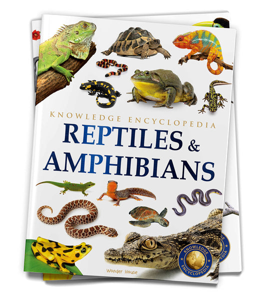 Animals - Reptiles and Amphibians : Knowledge Encyclopedia For Children book cover