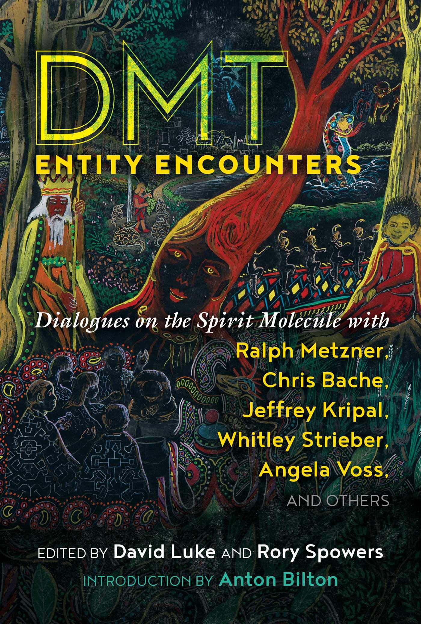DMT ENTITY ENCOUNTERS book cover