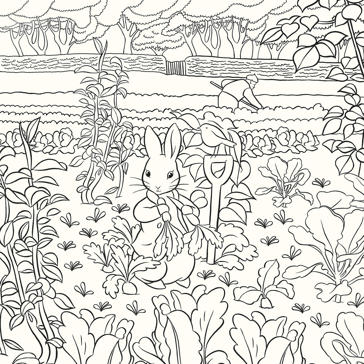 The Beatrix Potter Colouring Book