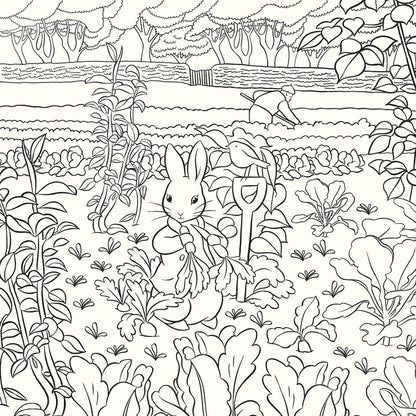 The Beatrix Potter Colouring Book