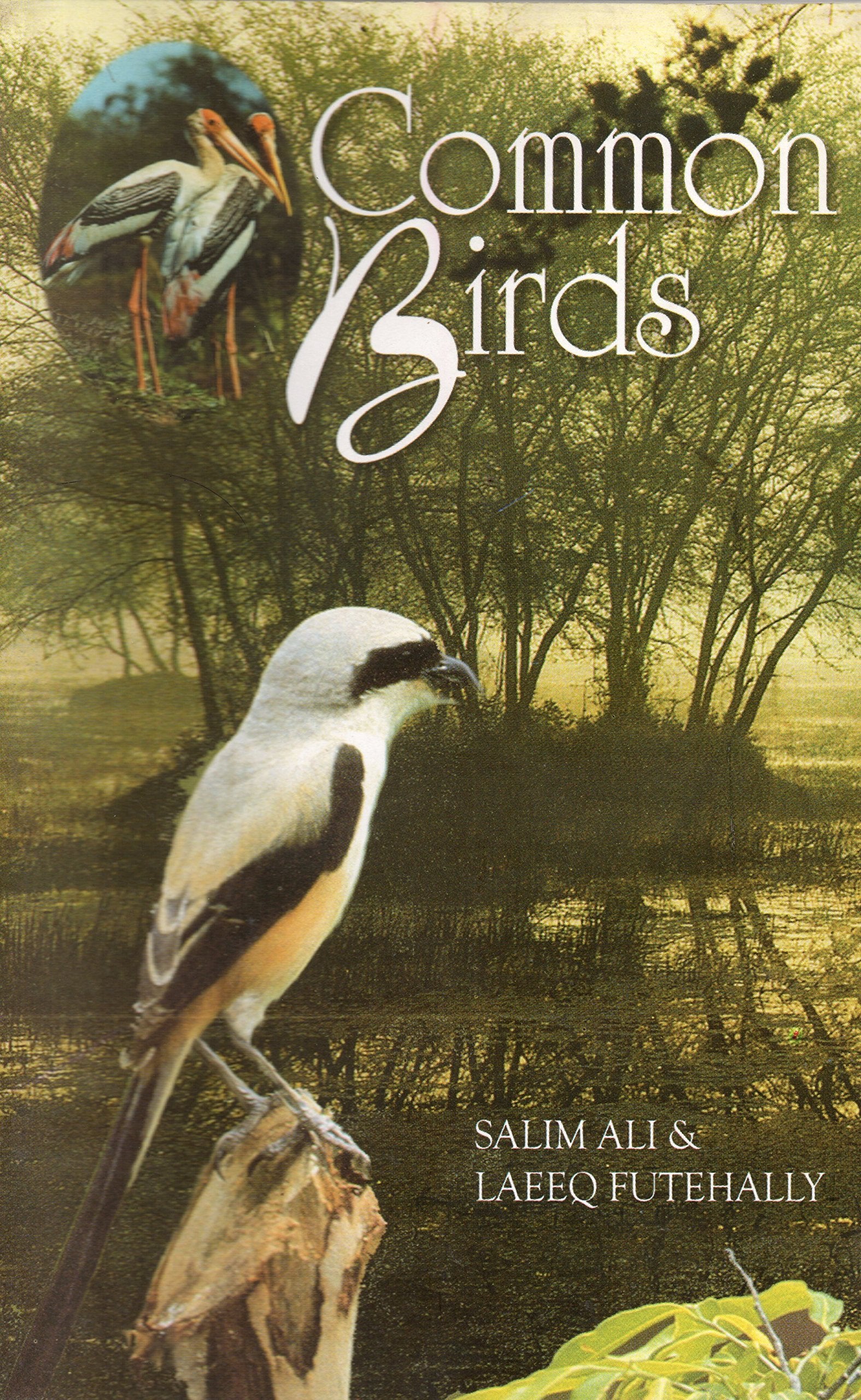 COMMON BIRDS book cover