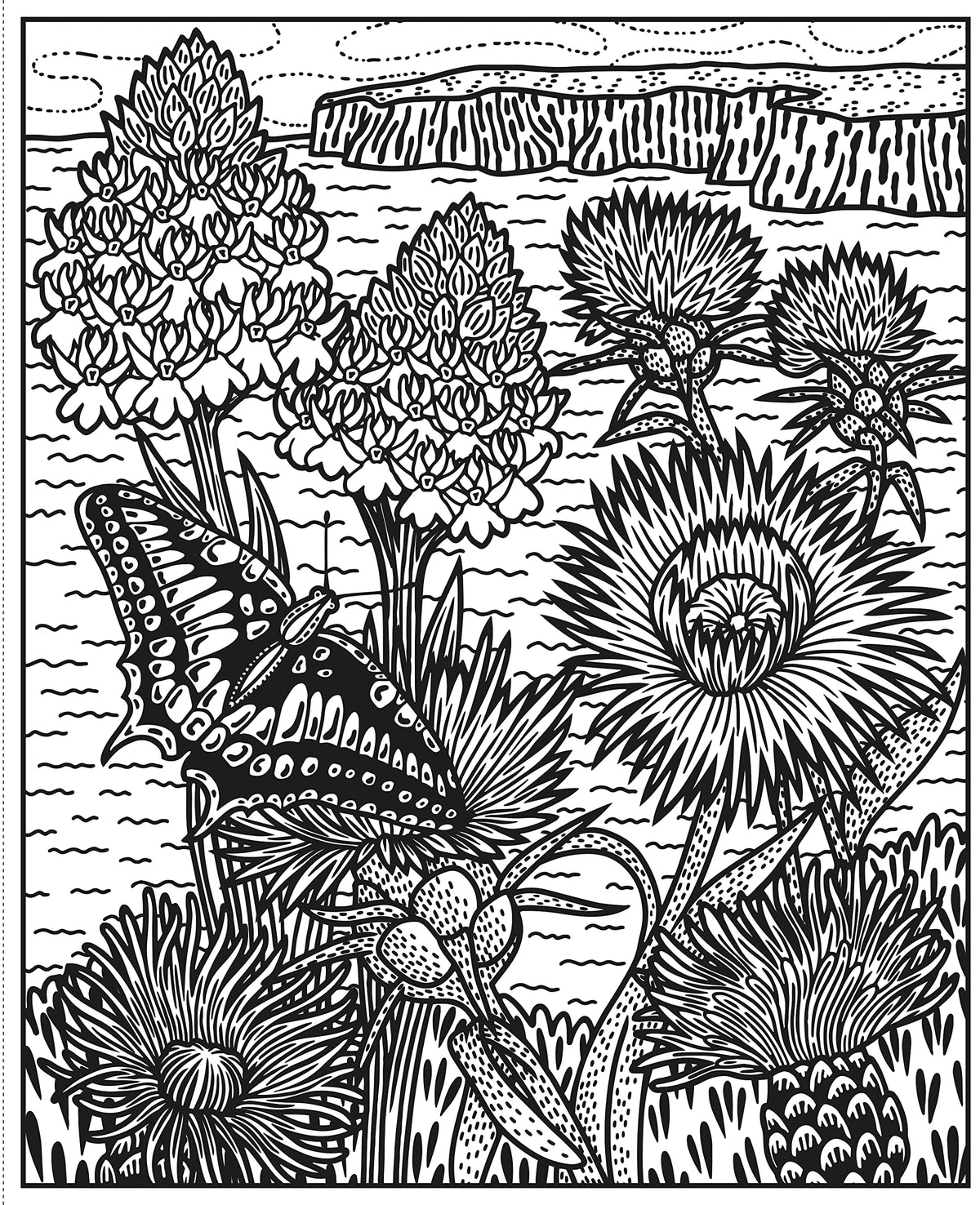 Wildflowers Magic Painting Book (Magic Painting Books)