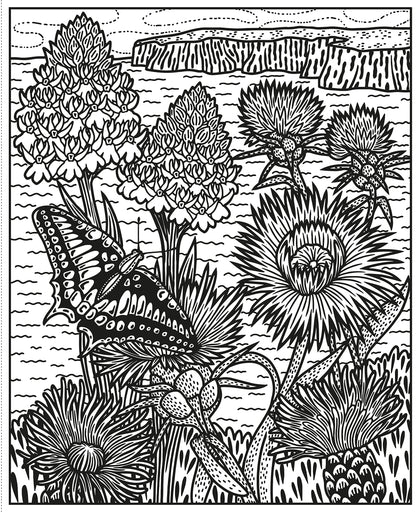 Wildflowers Magic Painting Book (Magic Painting Books)