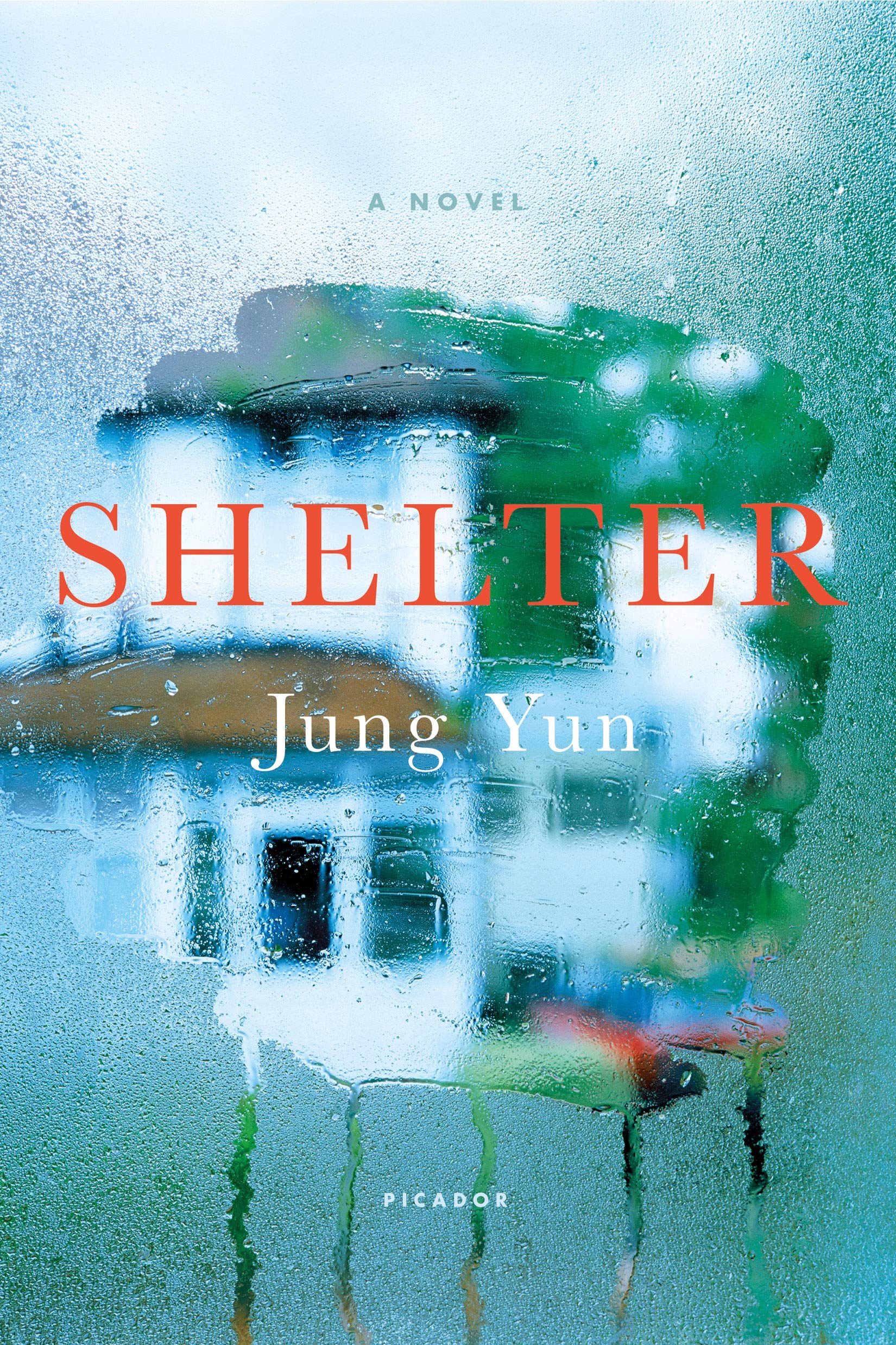 Shelter - A Novel book cover