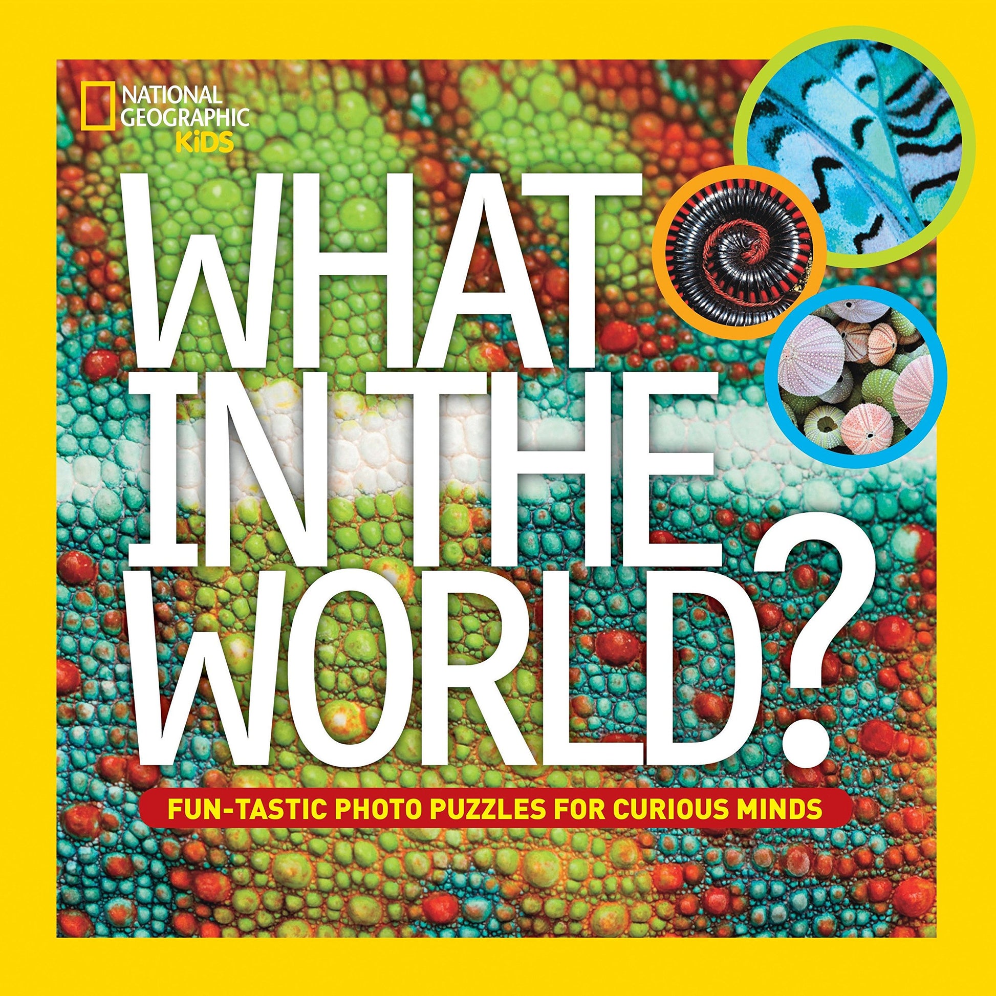 What in the World? book cover