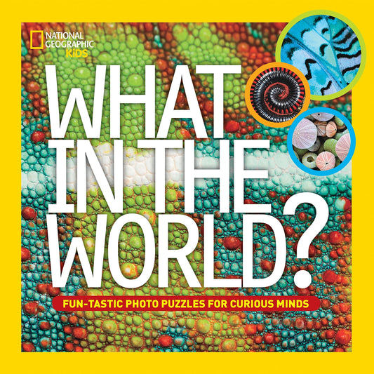 What in the World? book cover