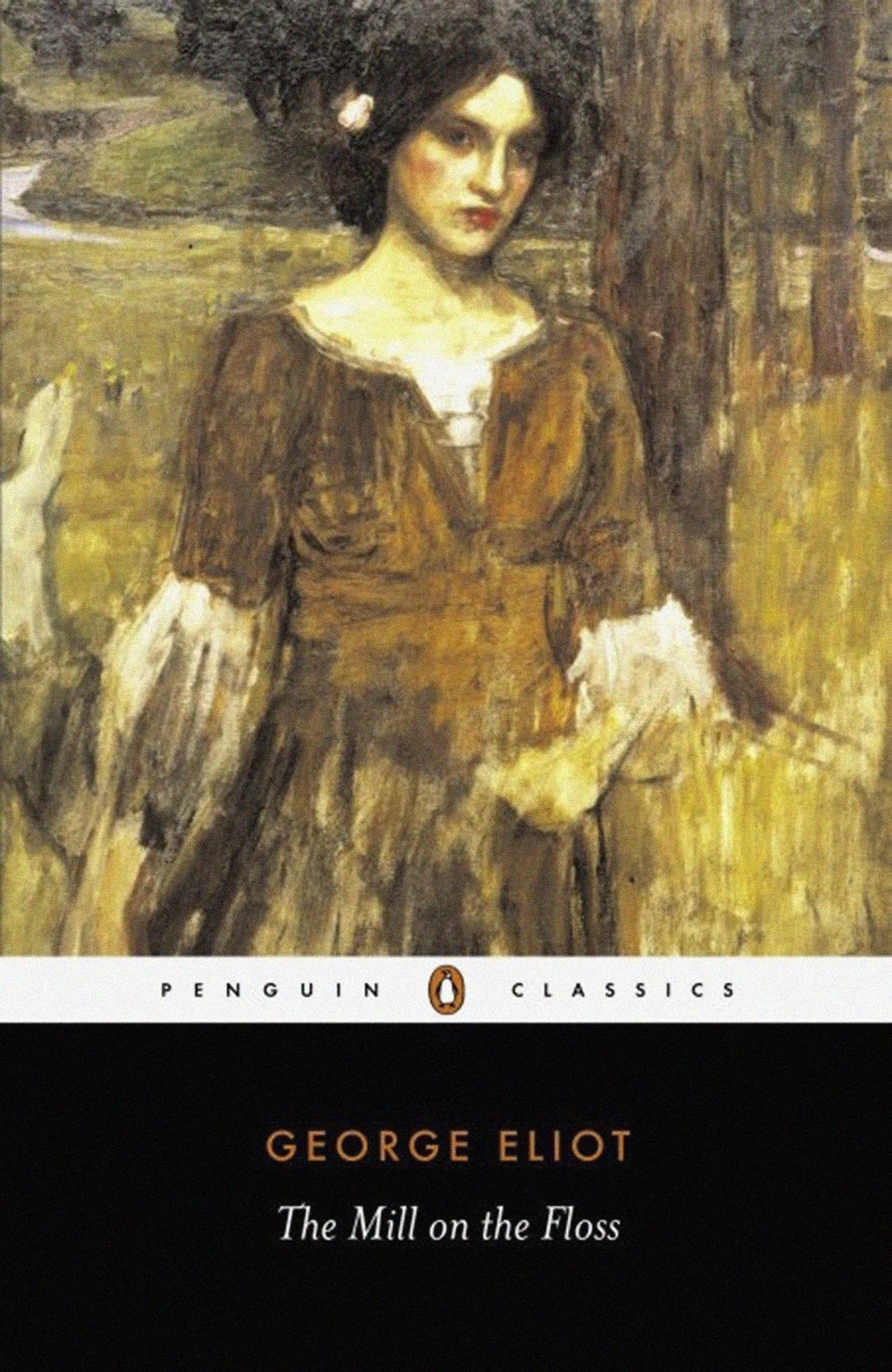 Mill On The Floss book cover
