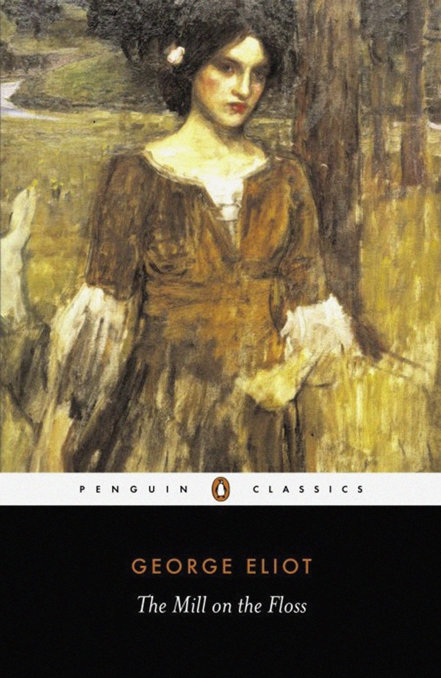 Mill On The Floss book cover