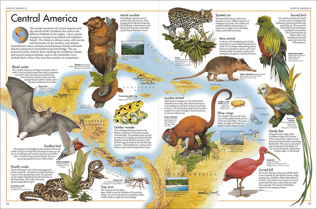 The Animal Atlas: A Pictorial Guide to the World's Wildlife