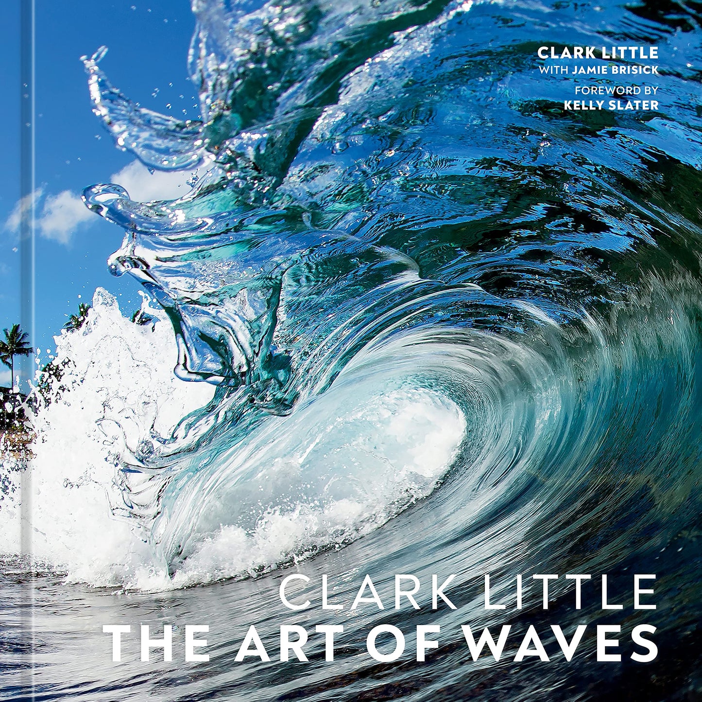 Clark Little: The Art of Waves book cover
