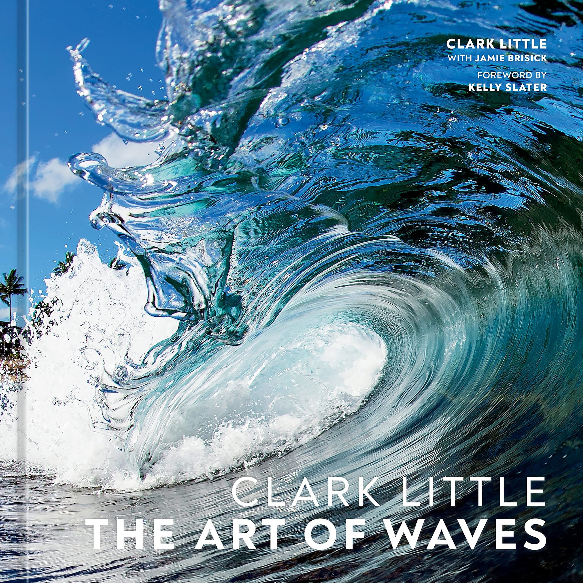 Clark Little: The Art of Waves book cover