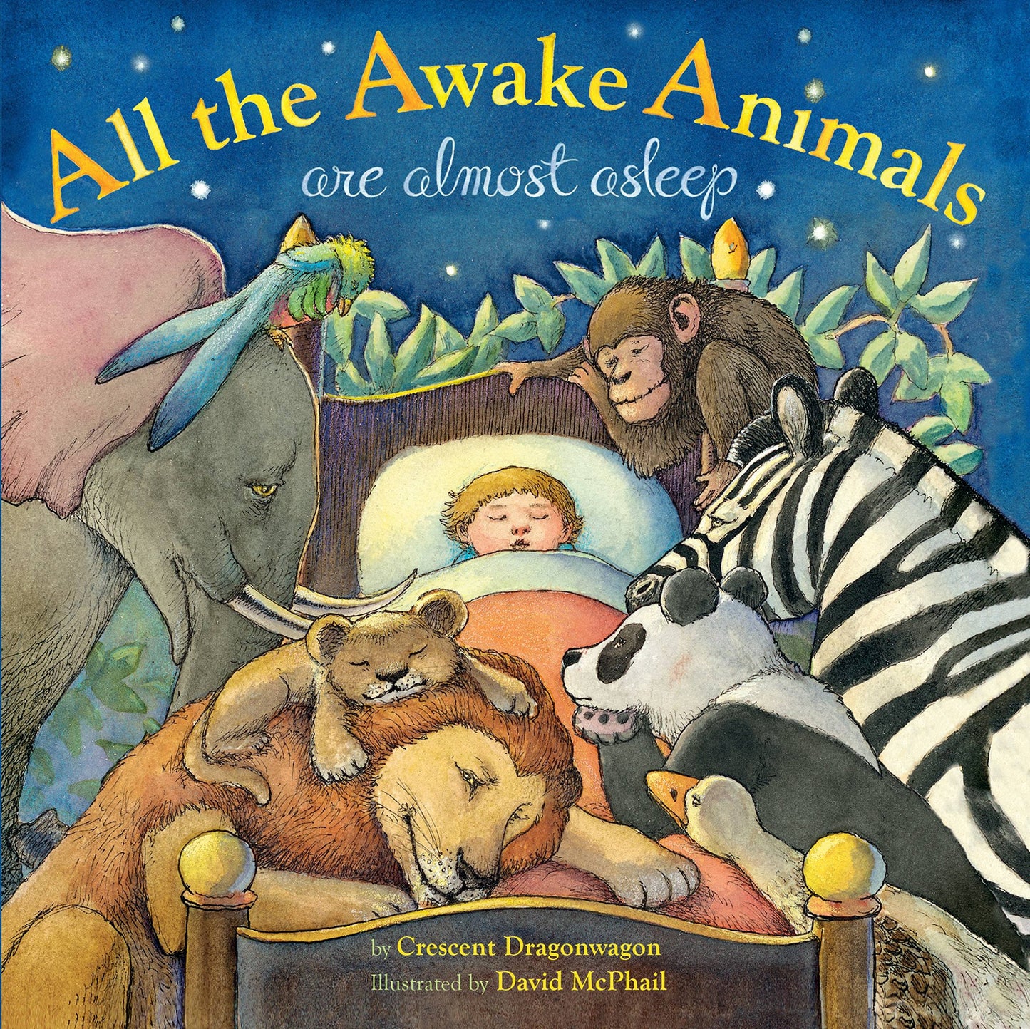 ALL THE AWAKE ANIMALS ARE ALMOST ASLEEP book cover