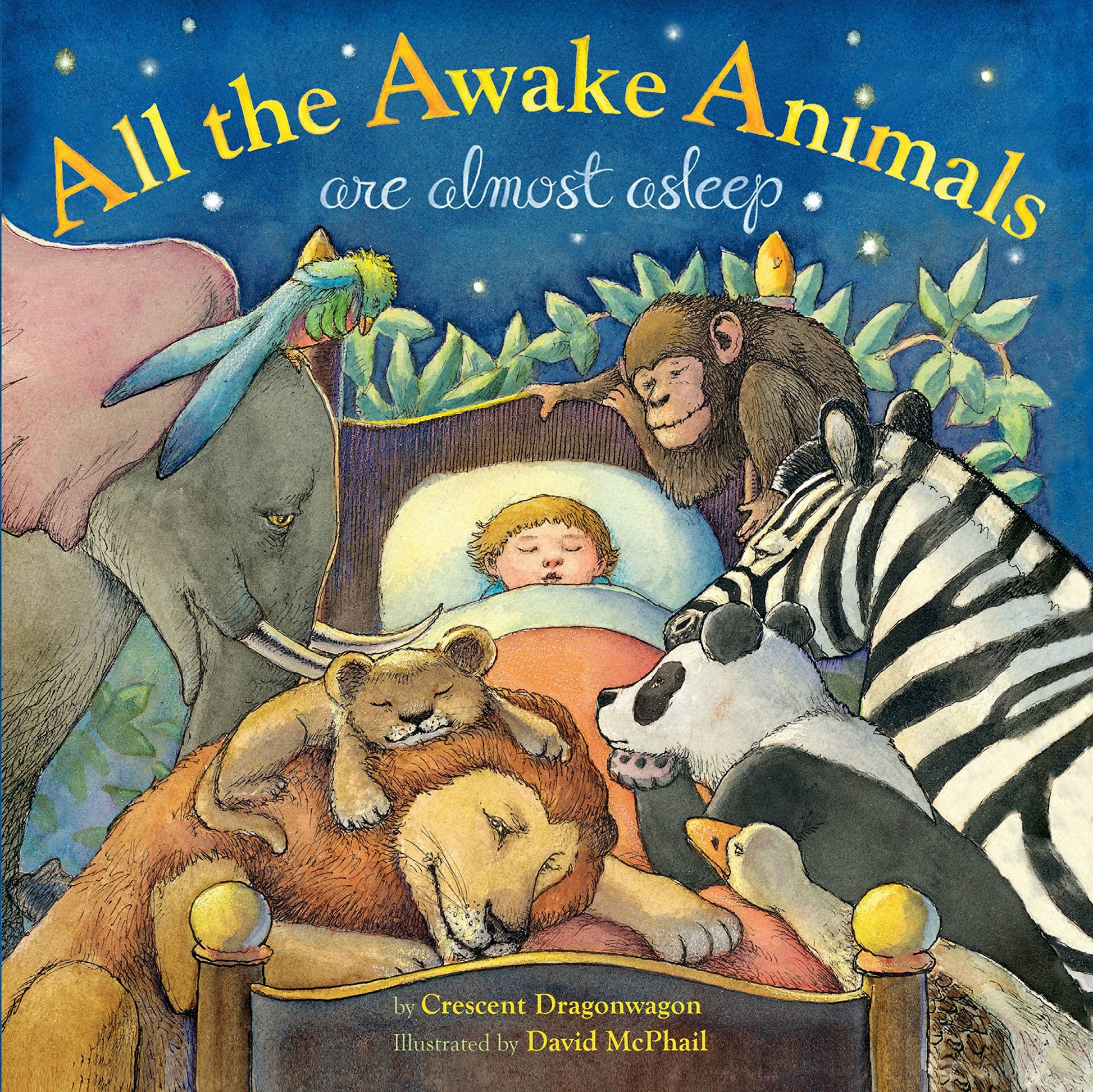 ALL THE AWAKE ANIMALS ARE ALMOST ASLEEP book cover
