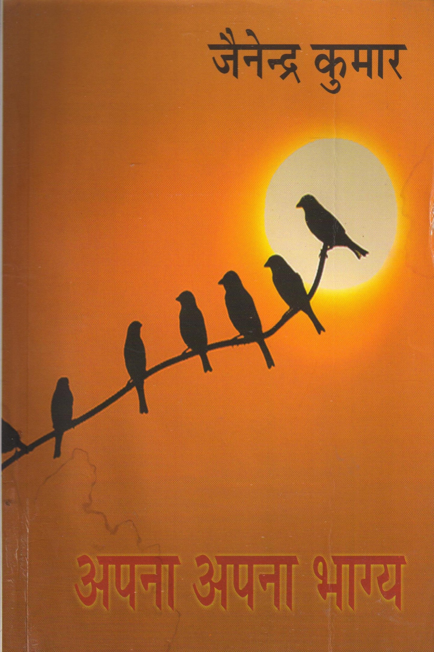 Apna Apna Bhagya  book cover