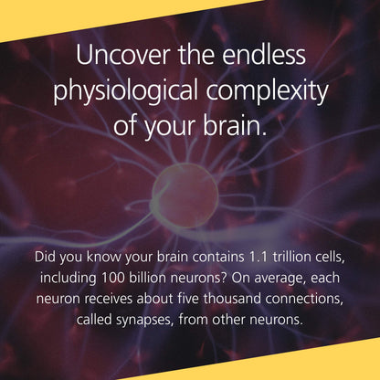 Buddha's Brain: The Practical Neuroscience of Happiness, Love & Wisdom