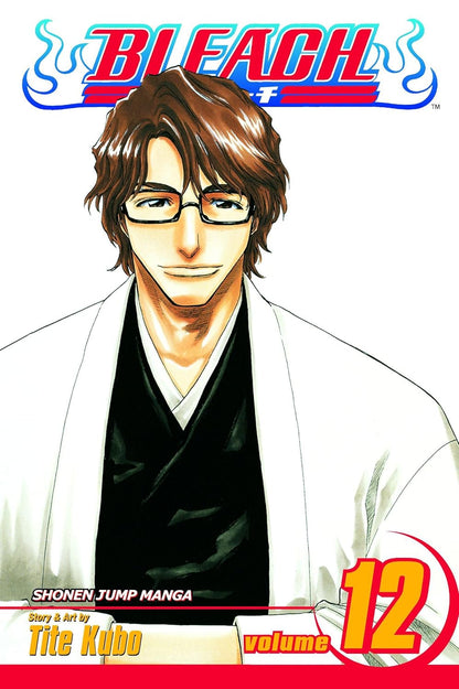 Bleach Box Set 1 (Vol. 1-21)